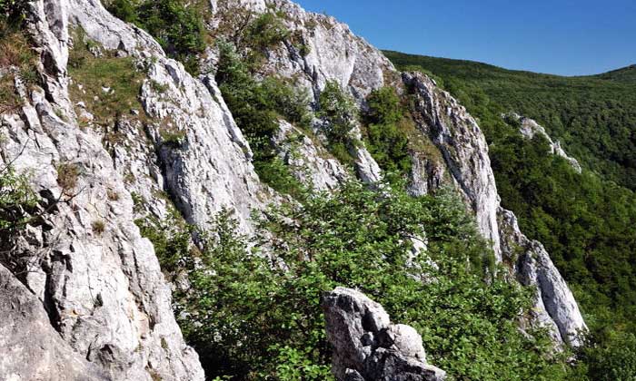 Karst: Kawasan Terakhir Untuk Berkehidupan