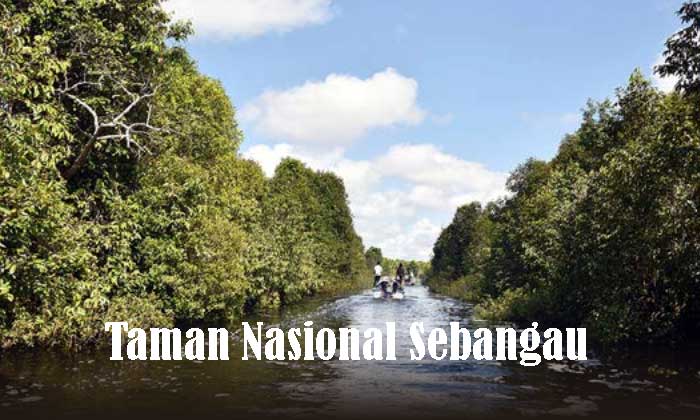 Taman Nasional Sebangau