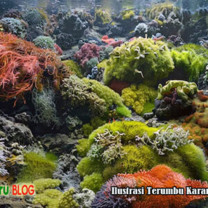 keindahan terumbu karang raja ampat