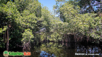 mangrove untuk masa depan pantai